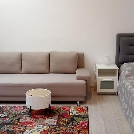 Piata Muzeului 1 Leilighet Cluj-Napoca Eksteriør bilde