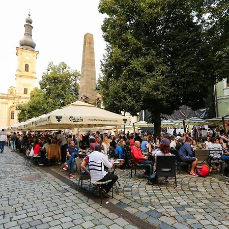 Piata Muzeului 1 Leilighet Cluj-Napoca Eksteriør bilde