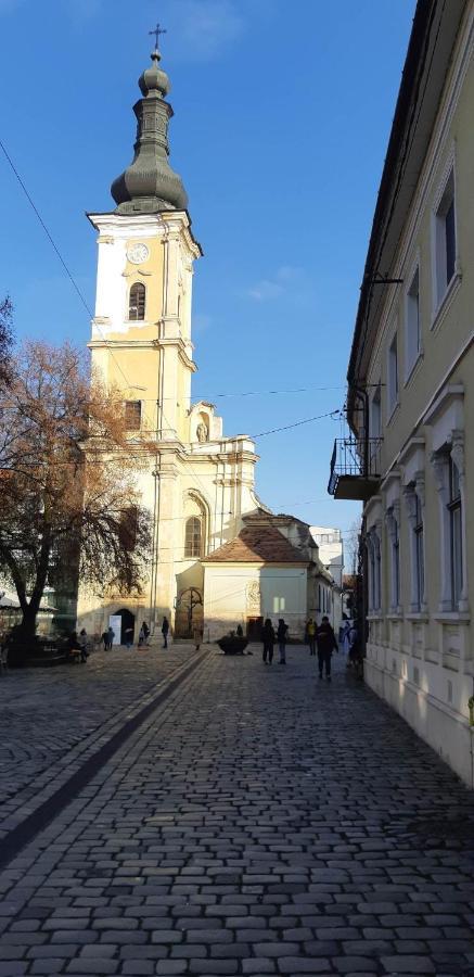 Piata Muzeului 1 Leilighet Cluj-Napoca Eksteriør bilde